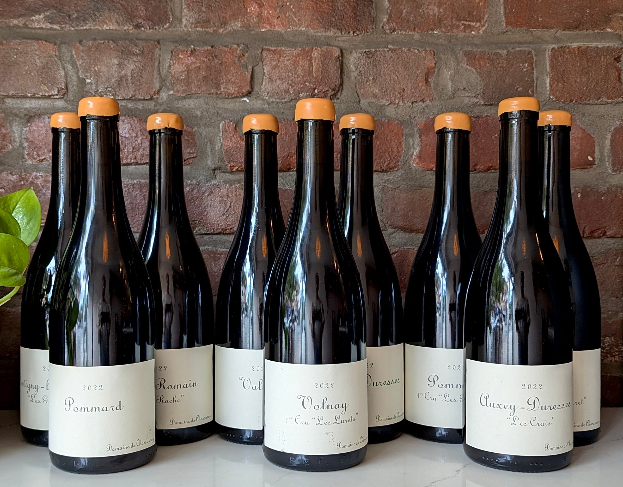 Chassorney (w/o Frédéric Cossard) – Leon & Son Wine and Spirits