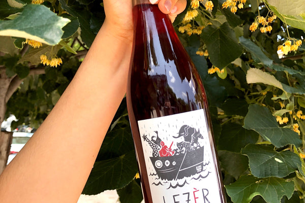 A Bottle We Love: Foradori's Lèzer