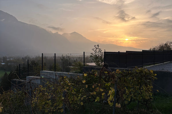 Chris' Trip to Savoie