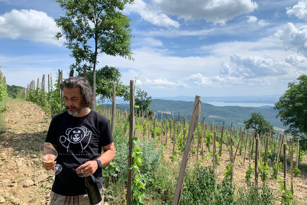 Stefano Amerighi's Transformative Bio Syrah