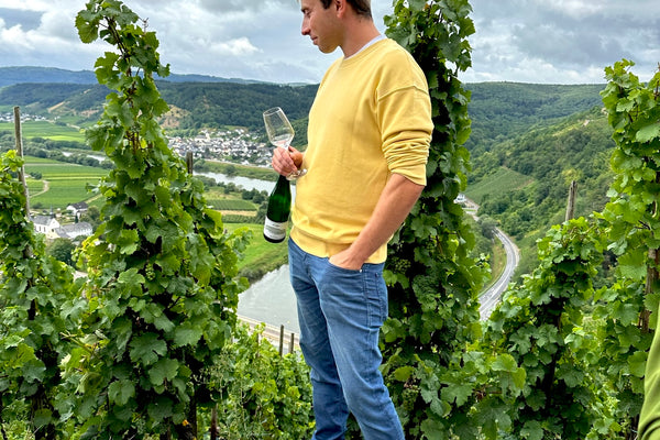 On a Hill in the Mosel...