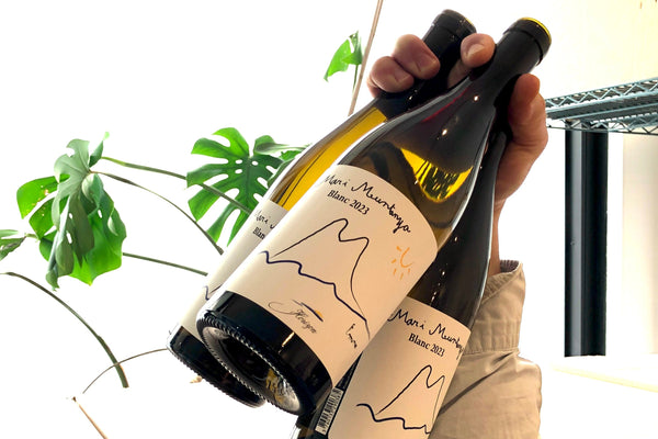 Delicious Calce (for under $30)