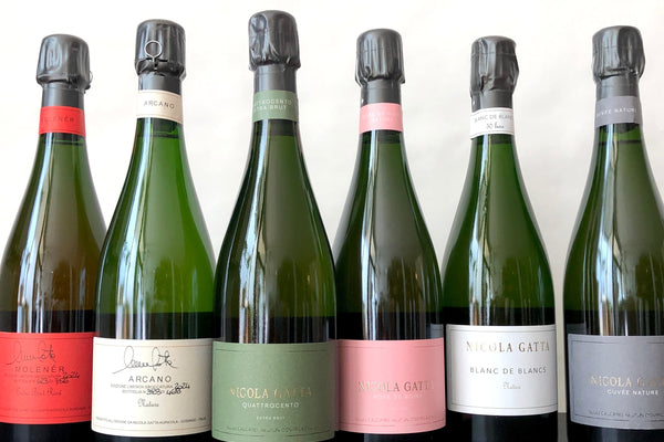 Nicola Gatta's Newest Wine