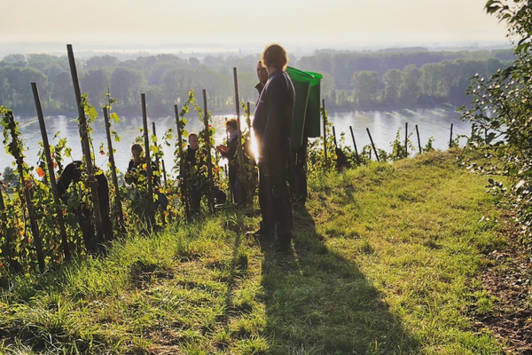 Schätzel's Next-Gen Rheinhessen