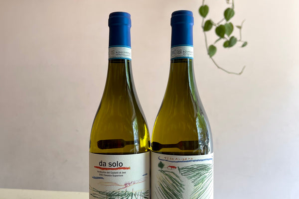 The newest from Le Marche: Terralibera