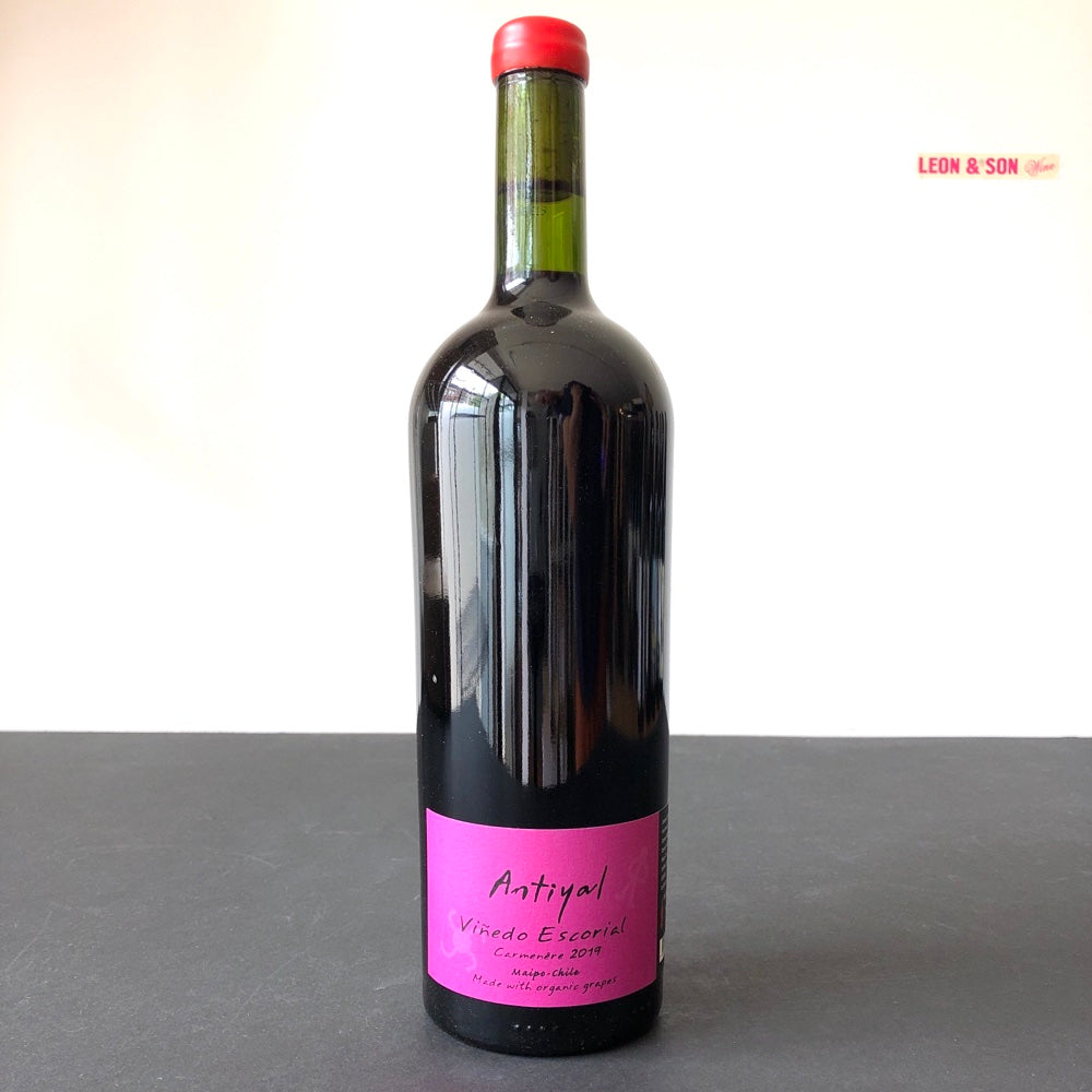 2019 Antiyal Carmenere Vinedo Escorial, Maipo Valley, Chile