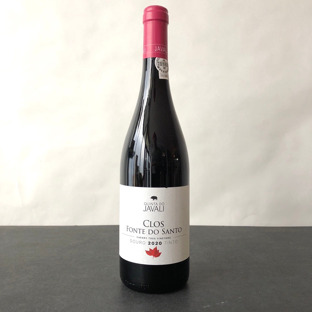 Visiting Taylor, Fonseca and Croft in Portugal's Douro