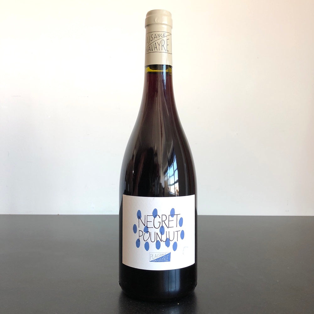 2021 Domaine Plaisance Penavayre 'Negret Pounjut', Vin de France