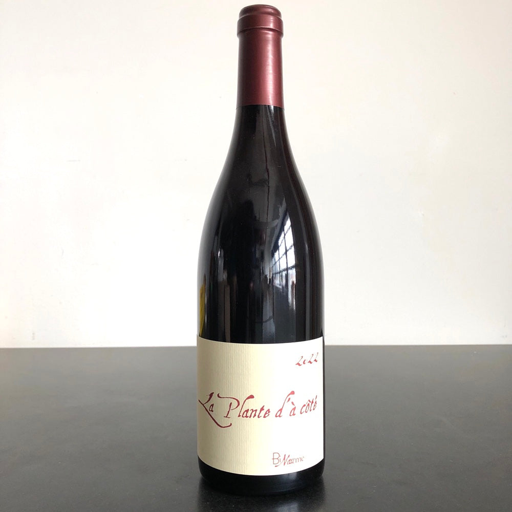2022 BiNaume (Claire Naudin) La Plante d'a Cote, Auvergne, VDF