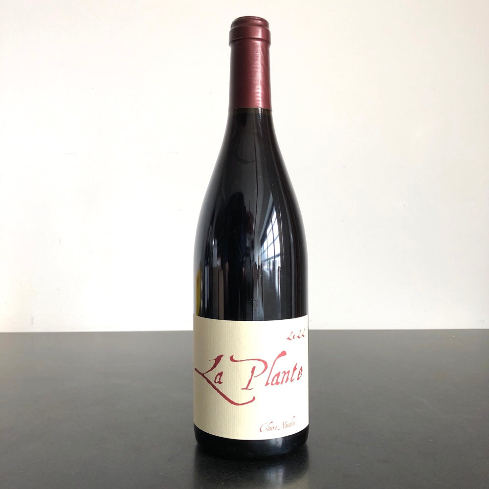 2022 Claire Naudin Bourgogne Rouge 'La Plante' Burgundy, France