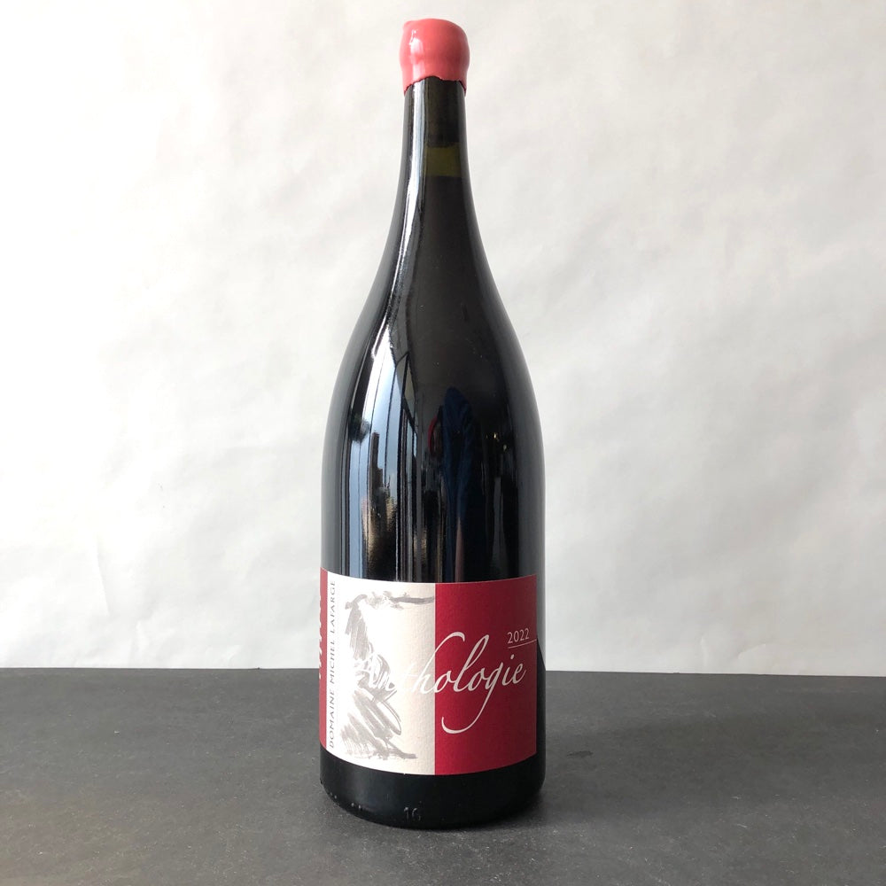 タカヒコ2019 Passetoutgrain 2019 Bourgogne Passetoutgrain Domaine Robert Chevillon