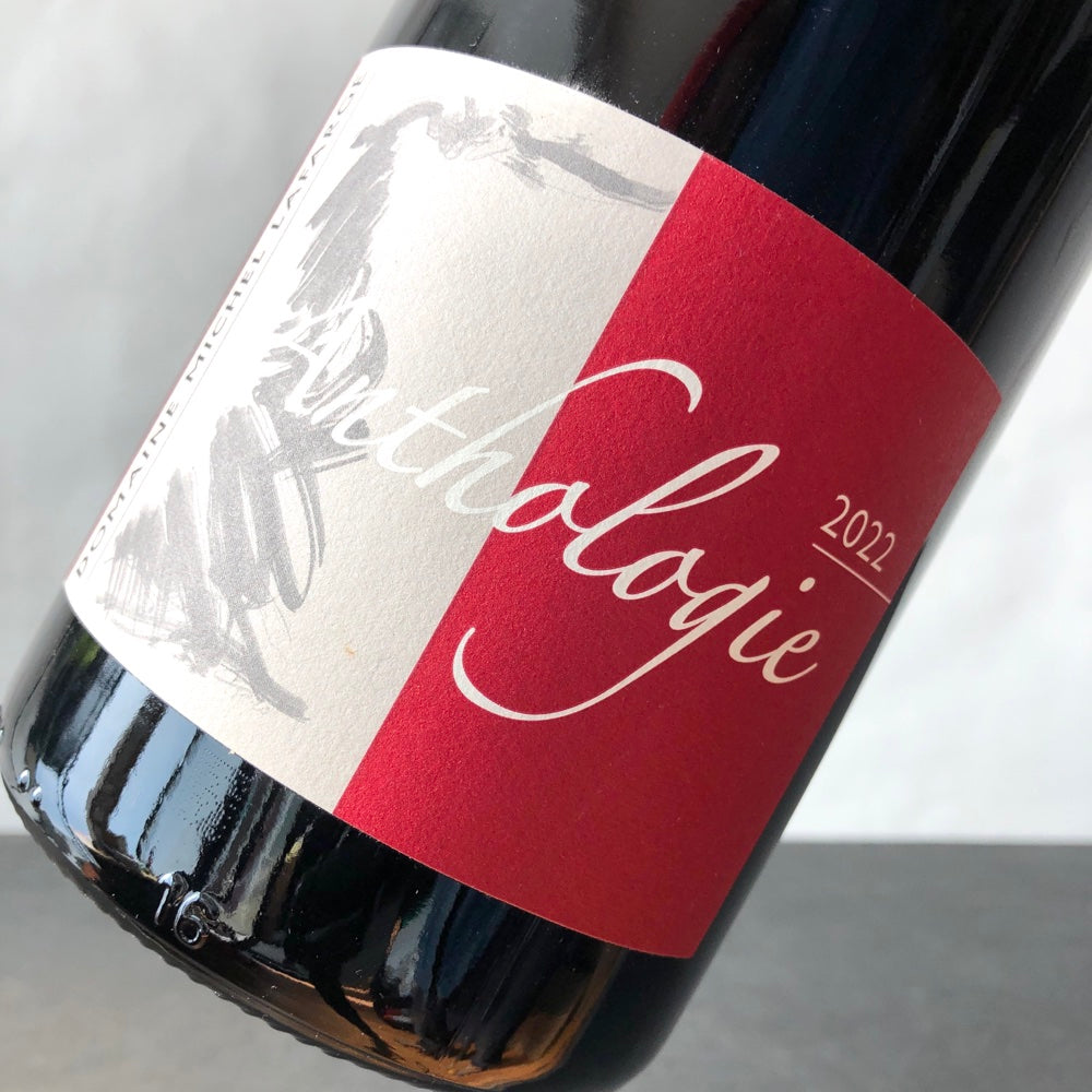 2022 Domaine Michel Lafarge Anthologie Bourgogne Passetoutgrains 1.5L Magnum
