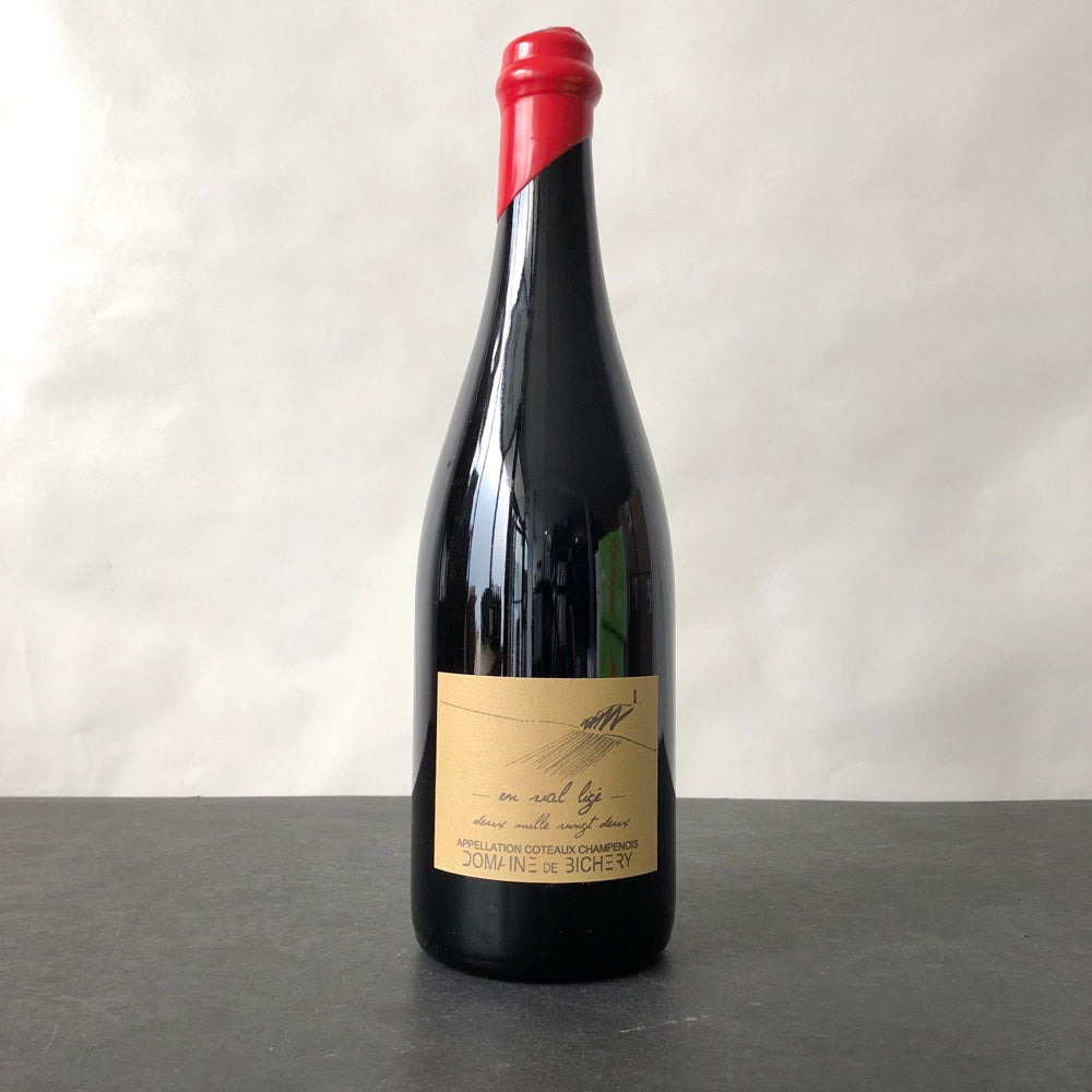 2022 Domaine de Bichery 'En Val Lige' Coteaux Champenois Champagne, France