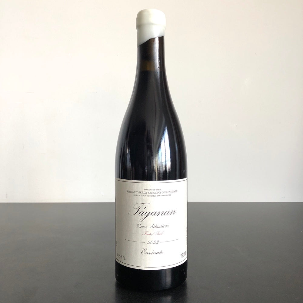 2022 Envinate Taganan Tinto Canary Islands Spain Leon Son Wine and Spirits