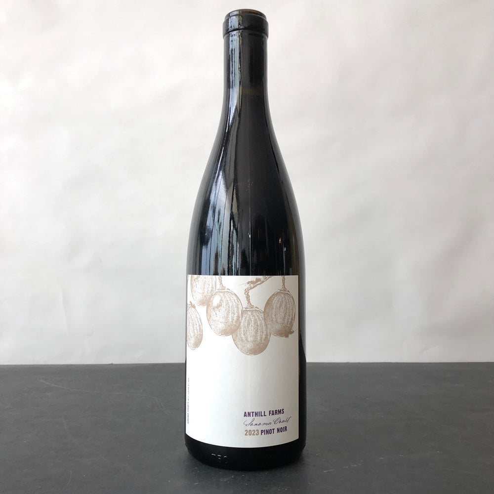 2023 Anthill Farms Sonoma Coast Pinot Noir, Sonoma County, USA – Leon ...