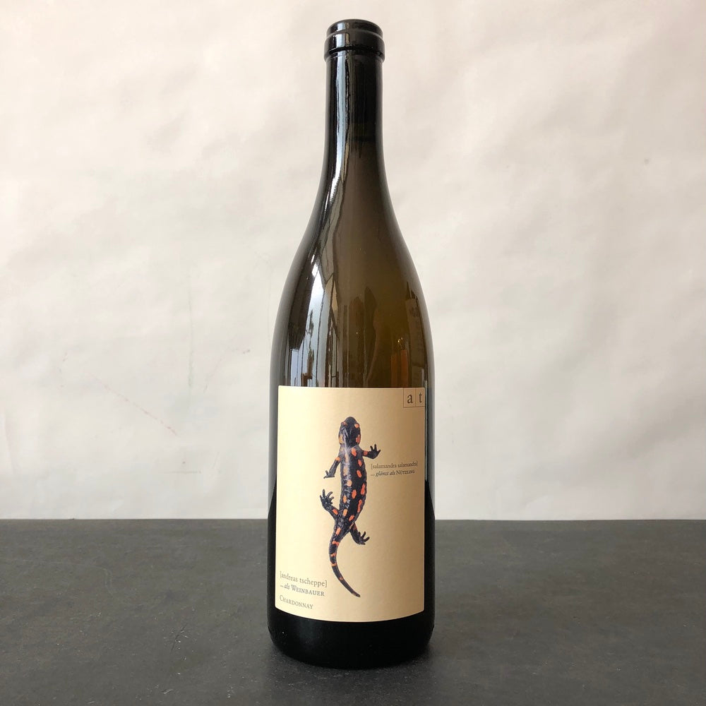 アンドレアスツェッペ　サラマンダー 2023 2023 Tscheppe, Salamander (Chardonnay), Styria, Austria – Leon