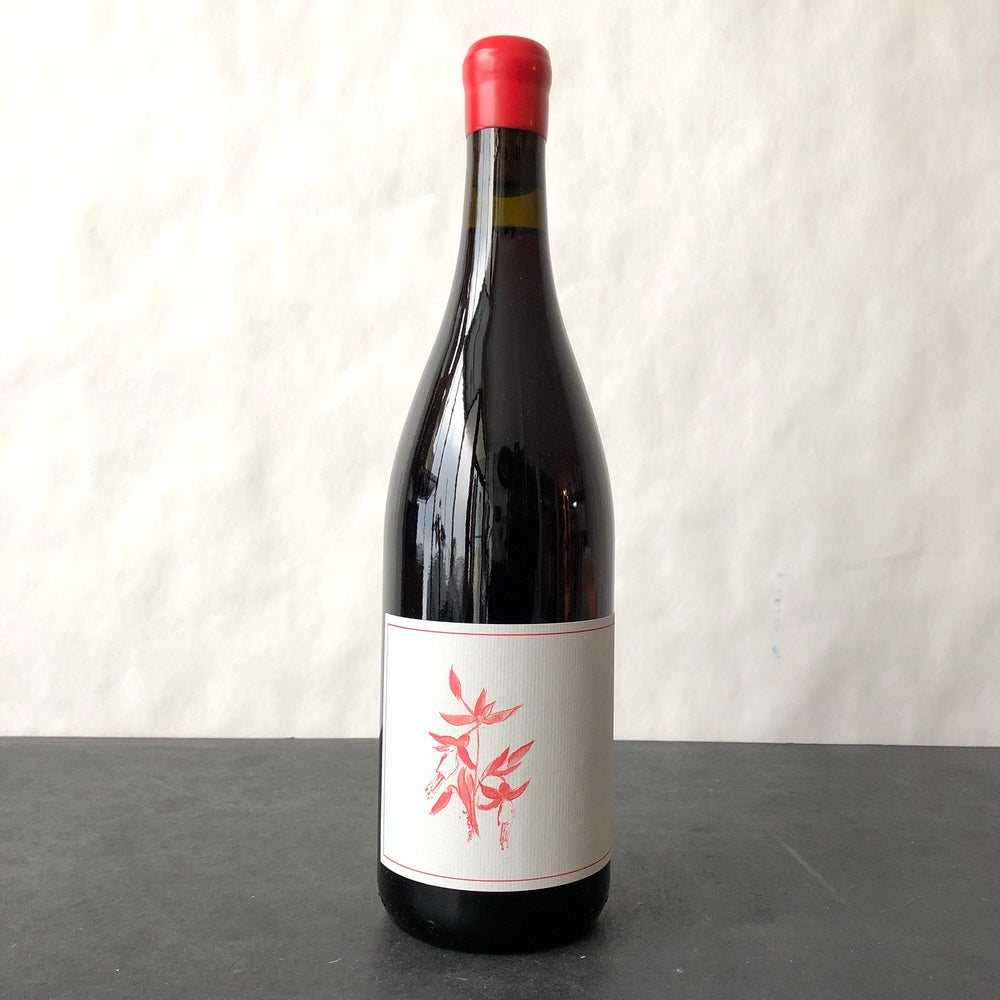 2024 Arnot-Roberts Witters Vineyard Gamay Noir El Dorado – Leon