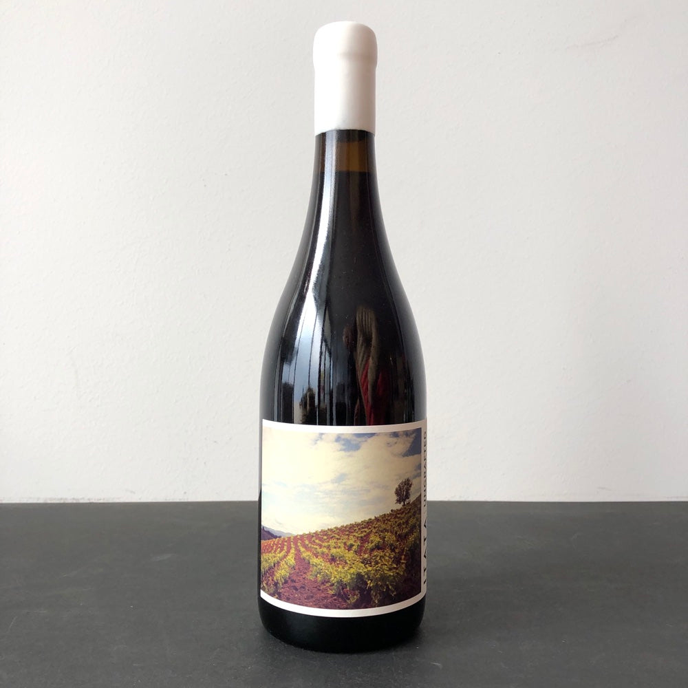 2024 Ungrafted Cinsault, Itata Valley, Chile – Leon & Son Wine and
