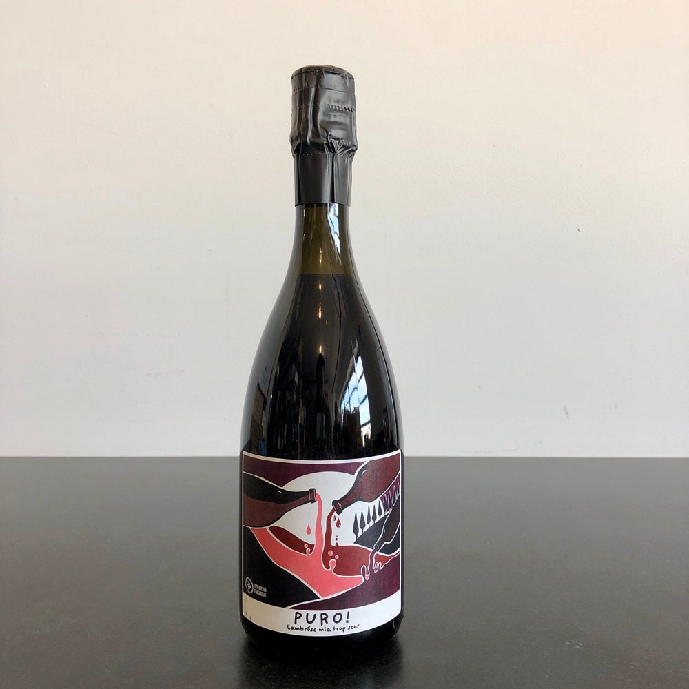 NV Fangareggi 'Puro' Lambrusco dell'Emilia IGT Emilia-Romagna, Italy – Leon  \u0026 Son Wine and Spirits, image size:1000x1000