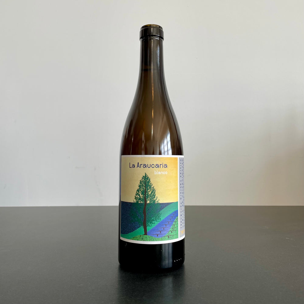 2021 Dolores Cabrera La Araucaria 'La Araucaria' Blanco Valle de la Orotava, Spain