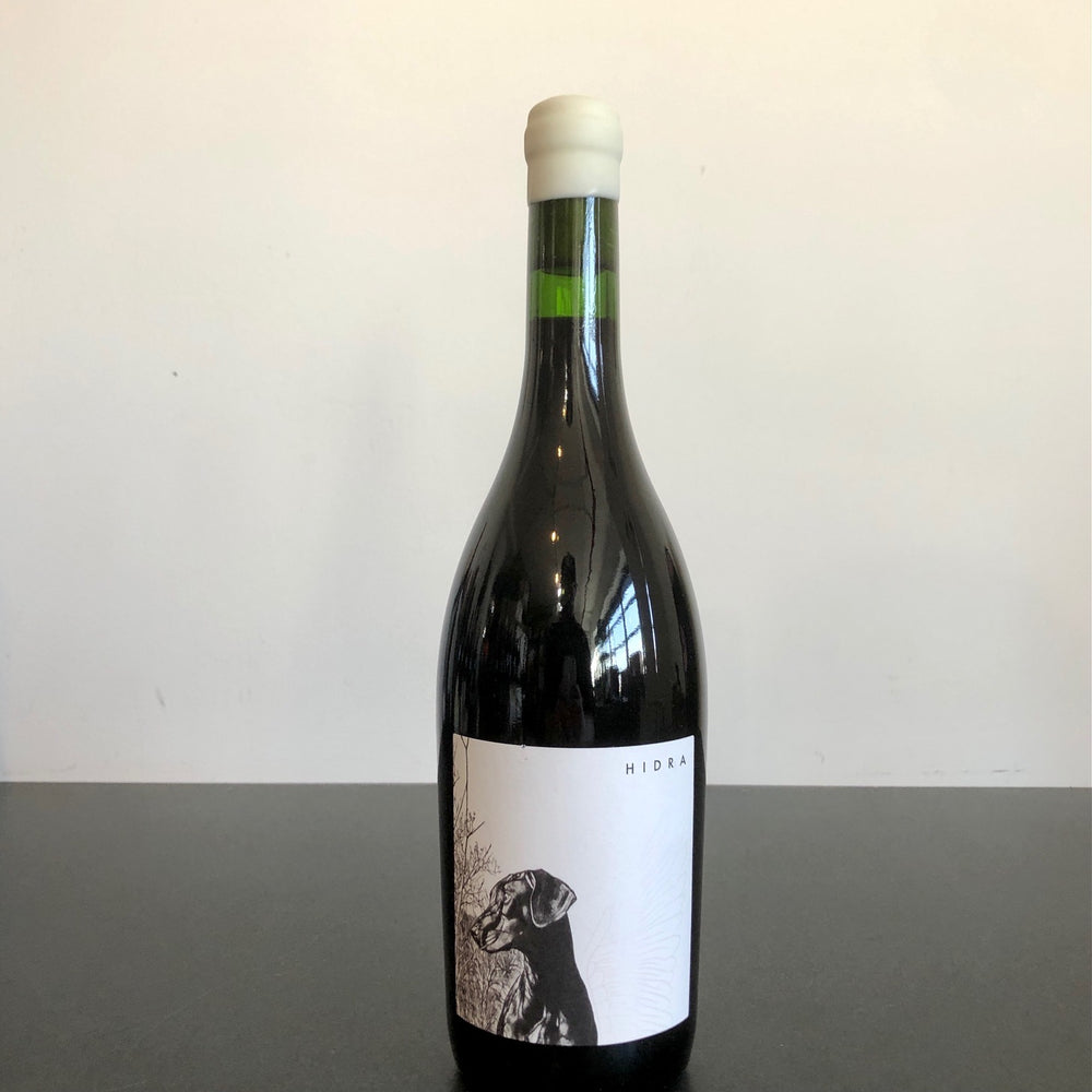 2019 Sicus Hidra Tarragona, Spain