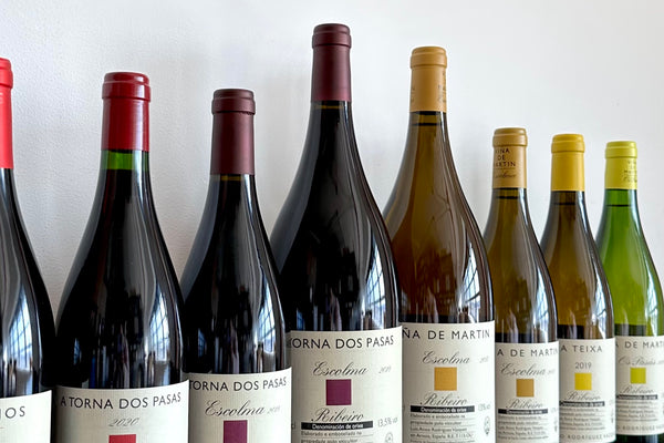 The Singular Wines of Luis Rodríguez