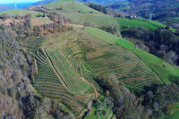 Our Basque revival continues with Makatzak