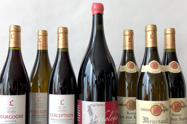 PTG + More from Michel Lafarge