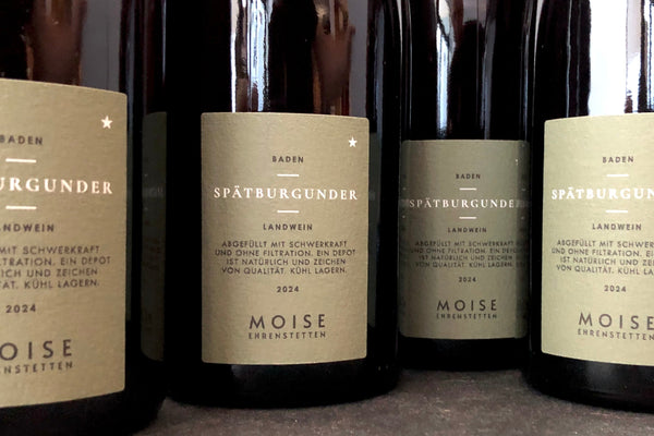 Jakob Moise's singular '24