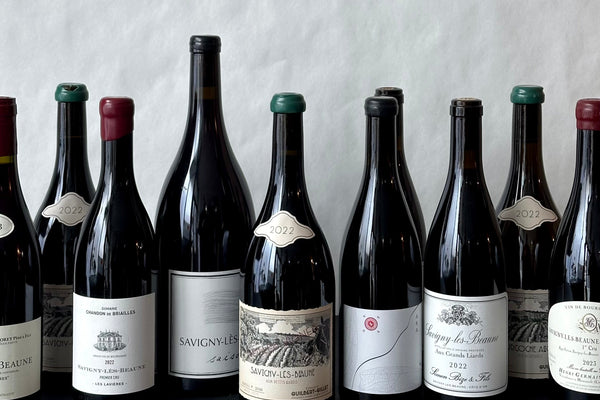 Why Savigny is Burgundy's most intriguing village right now