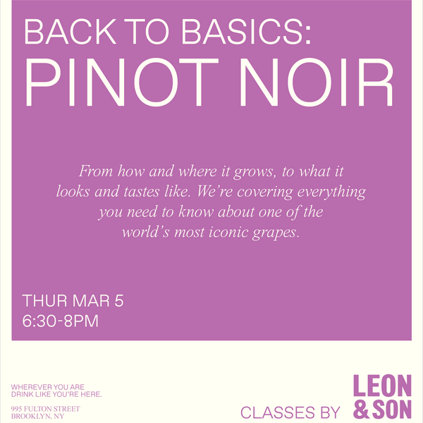 Back to Basics: Pinot Noir