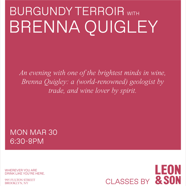 Burgundy Terroir with Brenna Quigley
