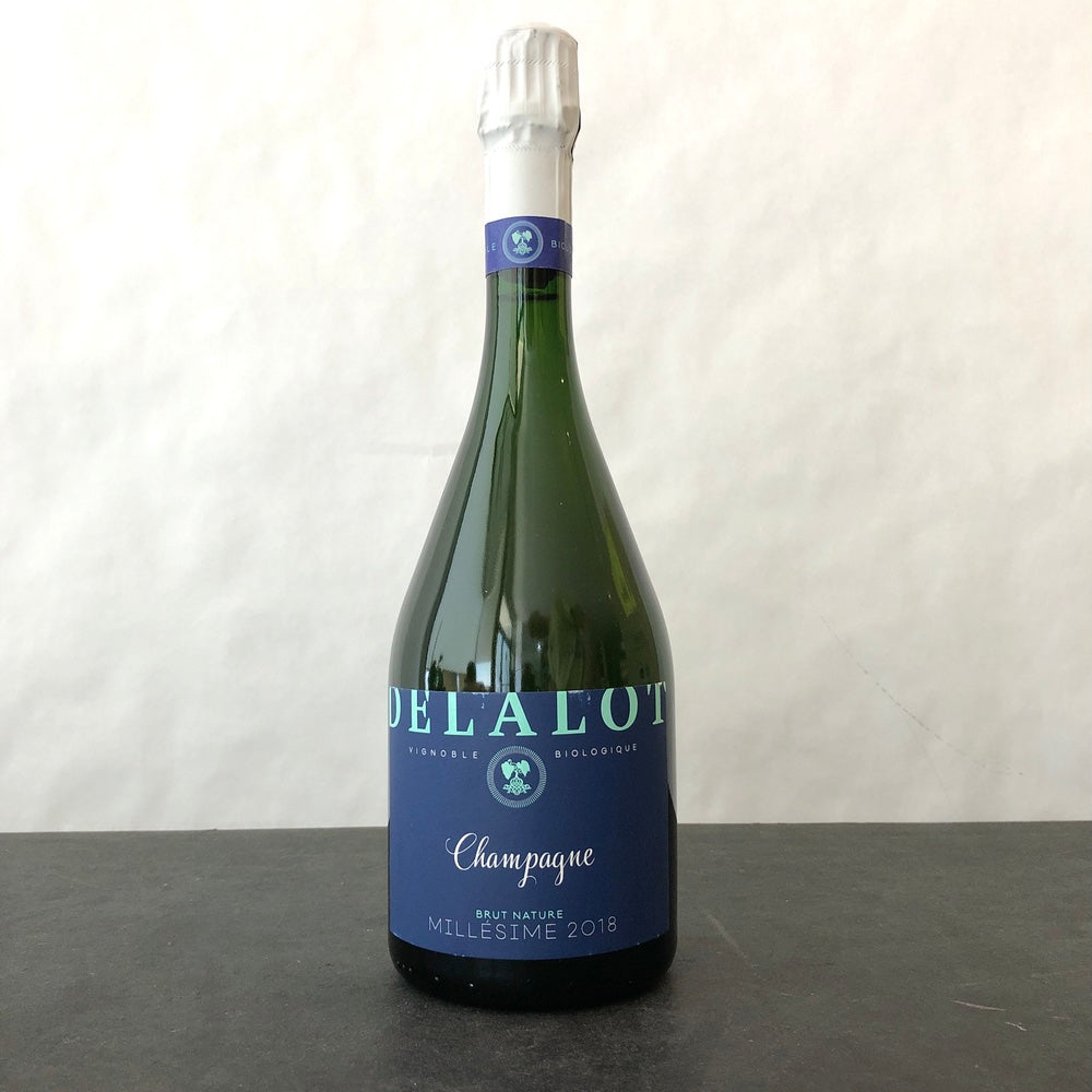2018 Eliane Delalot Brut Nature Millesime Champagne, France