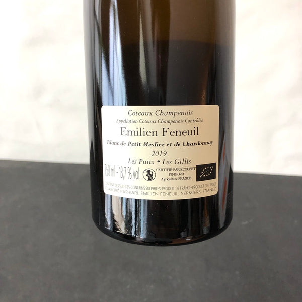 2019 Emilien Feneuil “Puits & Gillis” Coteaux Blanc de Petite Meslier and Chardonnay