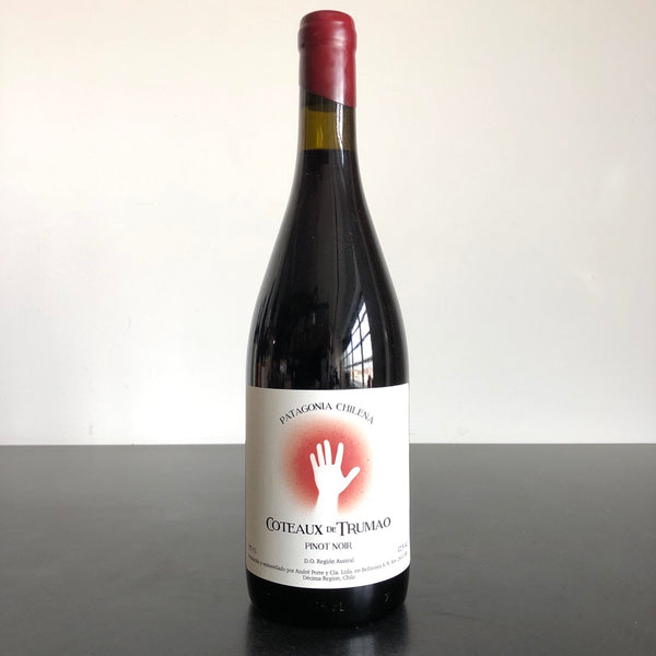 2020 Coteaux de Trumao 'Cruchon' Pinot Noir, Patagonia, Chile