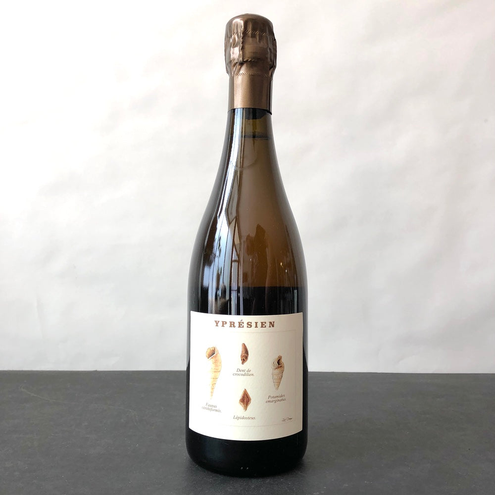 2020 Legrand Latour Ypresien Brut Nature, Champagne, France
