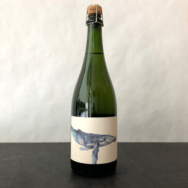 2021 Alma Fria Sparkling Chardonnay, Sonoma Coast