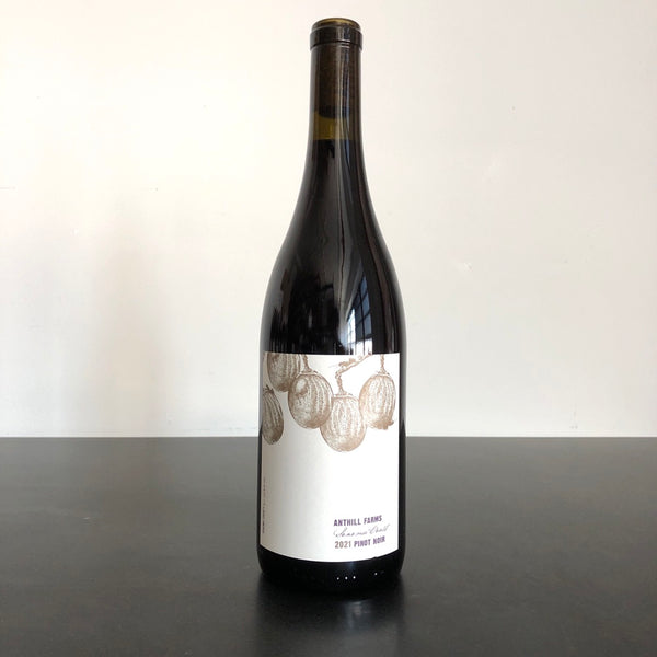 2021 Anthill Farms Sonoma Coast Pinot Noir, Sonoma County, USA