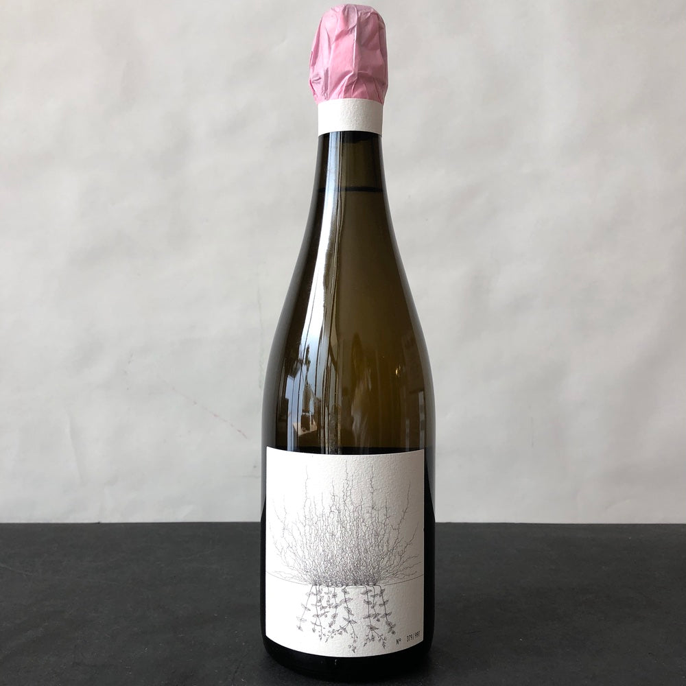2021 Johannes Aufricht Blanc de Blanc Sparkling V3, Baden, Germany