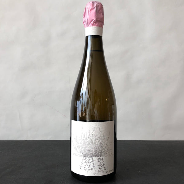 2021 Johannes Aufricht Blanc de Blanc Sparkling V3, Baden, Germany