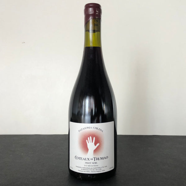 2021 Coteaux de Trumao 'Cruchon' Pinot Noir, Patagonia, Chile