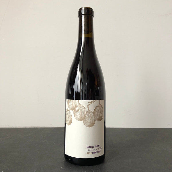 2022 Anthill Farms Anderson Valley Pinot Noir, Mendocino County, USA