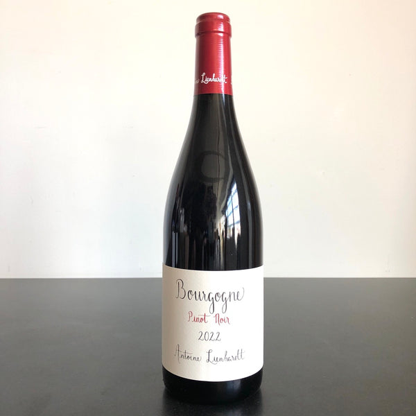 2022 Antoine Lienhardt Bourgogne Pinot Noir