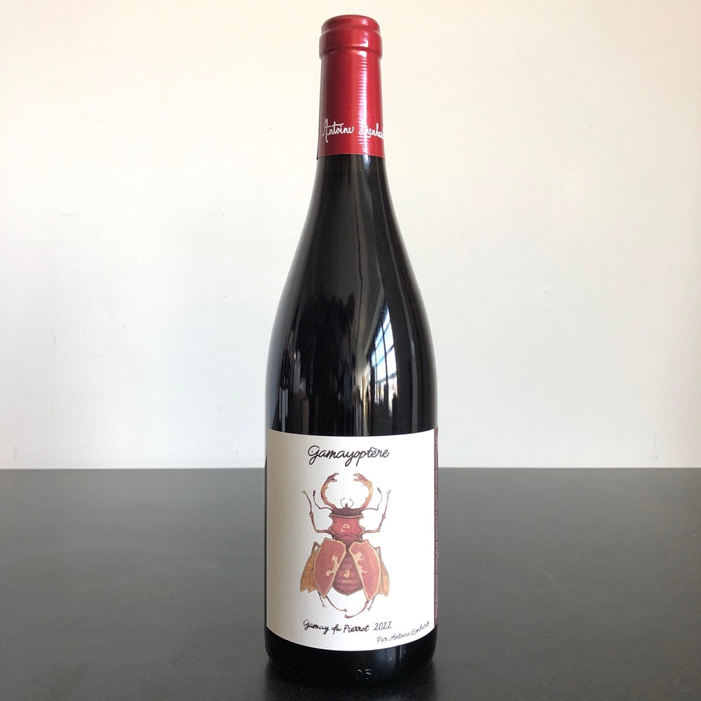 2022 Antoine Lienhardt Coteaux Bourguignons 'Gamayoptere", Burgundy, France