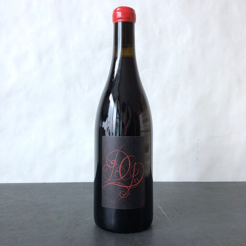 2022 Damien Guadagnolo Gamay, Jura, Vin de France