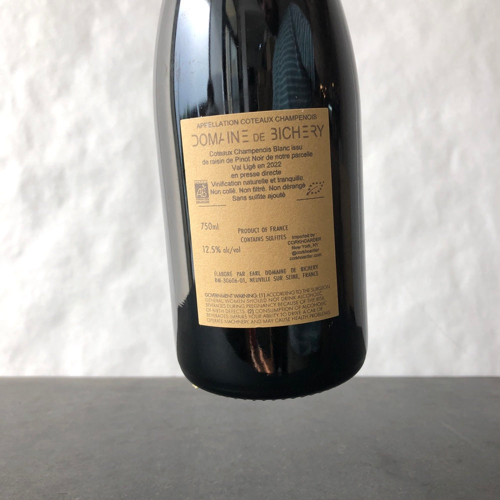 2022 Domaine de Bichery 'En Val Lige Blanc' Coteaux Champenois Champagne, France