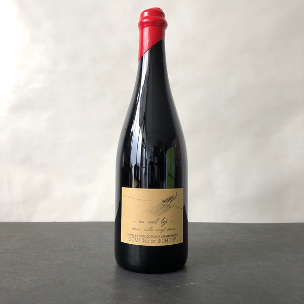 Domaine de Bichery +ヴァンシーメニル 2022 Domaine de Bichery 'En Val Lige' Coteaux Champenois Champagne