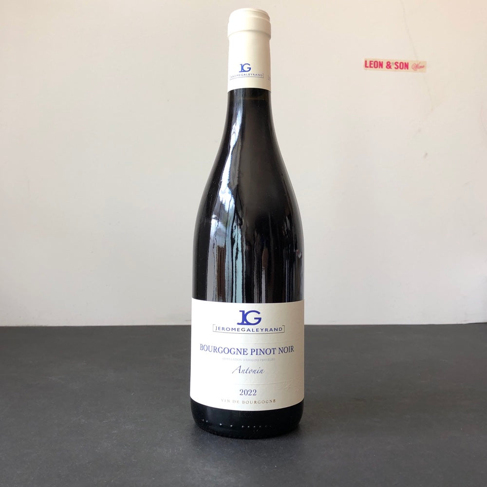 2022 Jerome Galeyrand Bourgogne Pinot Noir Cuvee Antonin Burgundy, France