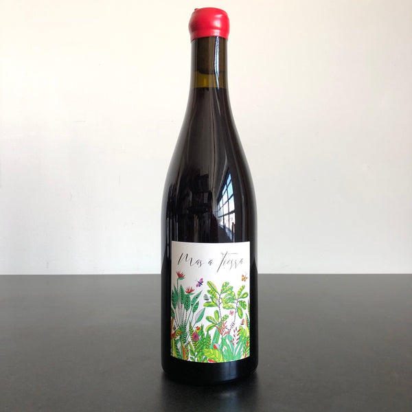 2022 Petite Empreinte Pinot Noir Coteaux Bourguignons 'Mas a Tierra', Burgundy, France