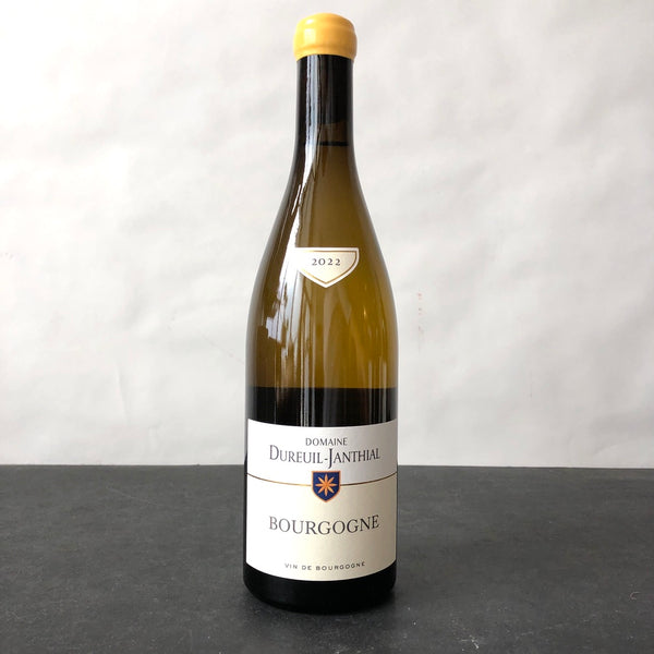 2022 Vincent Dureuil-Janthial Bourgogne Blanc, Burgundy, France